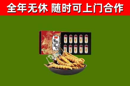 桂阳回收冬虫夏草价格